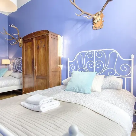 Apartment Tyzenhauz Classic