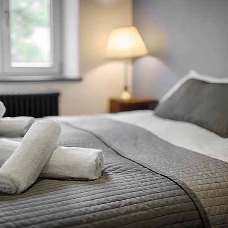 Tyzenhauz Classic Apartment